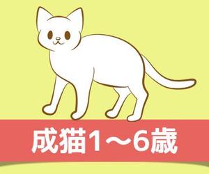 suresystem (suresystem)さんのかわいい猫のイラストへの提案