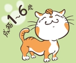 石橋直人 (nao840net)さんのかわいい猫のイラストへの提案