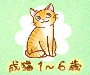 seaglass (seaglass_3)さんのかわいい猫のイラストへの提案
