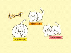 izumi.h ()さんのかわいい猫のイラストへの提案