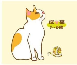VECTOL (no-k14)さんのかわいい猫のイラストへの提案