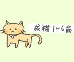 しらとりりん (RinTakanashi)さんのかわいい猫のイラストへの提案