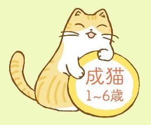 naho7t (yb7alisauri)さんのかわいい猫のイラストへの提案