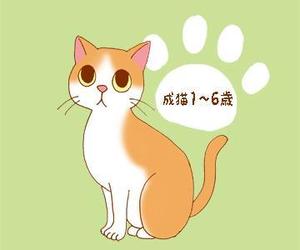 猫田カヨ (Caferate_39)さんのかわいい猫のイラストへの提案