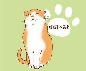 猫田カヨ (Caferate_39)さんのかわいい猫のイラストへの提案