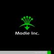 Modie-1-2a.jpg