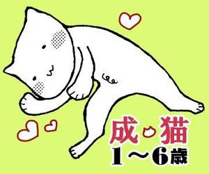COMA (comachin)さんのかわいい猫のイラストへの提案