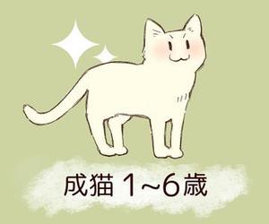 CFG (0xconfig)さんのかわいい猫のイラストへの提案