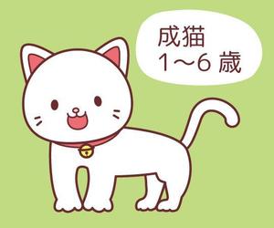 とまこ (tomaco)さんのかわいい猫のイラストへの提案