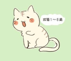 稲いな (inekawa)さんのかわいい猫のイラストへの提案