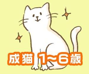noya (noyapo)さんのかわいい猫のイラストへの提案