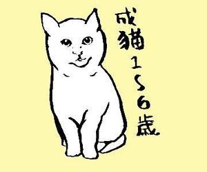 シシカバ/Sisikaba ()さんのかわいい猫のイラストへの提案