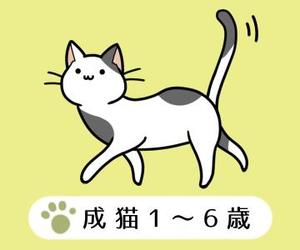 Ayase (saku_usui)さんのかわいい猫のイラストへの提案
