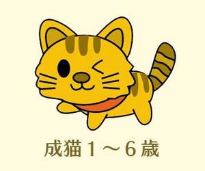 kooba (kooba)さんのかわいい猫のイラストへの提案