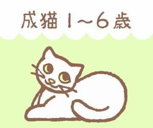 たけした まどか (takeshita-madoka)さんのかわいい猫のイラストへの提案