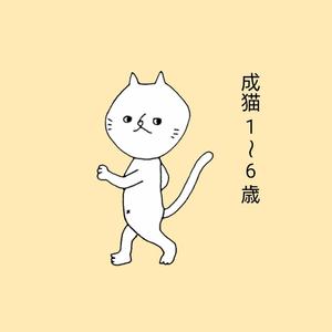 朱里 (aka19880127)さんのかわいい猫のイラストへの提案