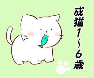 minamina437 (minamina437)さんのかわいい猫のイラストへの提案