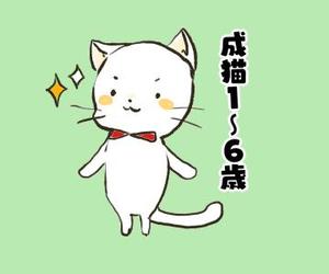 さんのかわいい猫のイラストへの提案