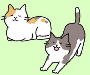 Banriさんのかわいい猫のイラストへの提案