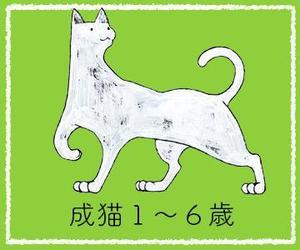 掘住今年 ()さんのかわいい猫のイラストへの提案