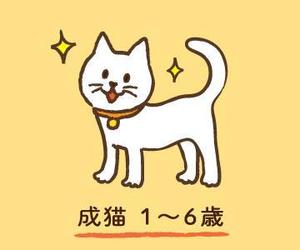 CHEBLO(チェブロ) (CHEBLO)さんのかわいい猫のイラストへの提案