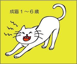 かわいけいこ (pinoko003)さんのかわいい猫のイラストへの提案