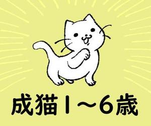 小川成希（小川理久） ()さんのかわいい猫のイラストへの提案