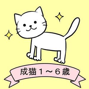しもつき (shimotuki)さんのかわいい猫のイラストへの提案