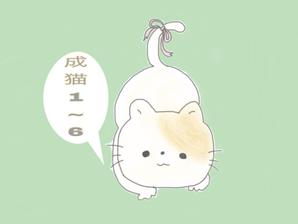 karin0121さんのかわいい猫のイラストへの提案