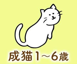 りの ()さんのかわいい猫のイラストへの提案