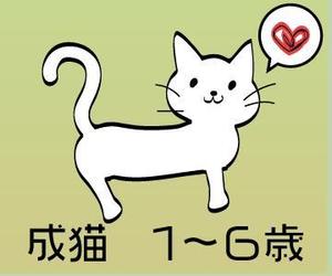 やちよ (yachiyo05)さんのかわいい猫のイラストへの提案
