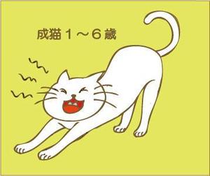 かわいけいこ (pinoko003)さんのかわいい猫のイラストへの提案