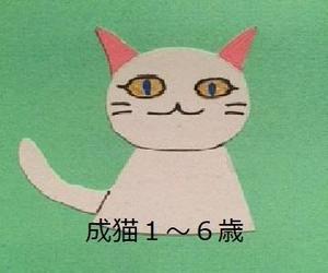 よしゆき　かりん (yykarin_001)さんのかわいい猫のイラストへの提案