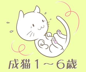 みと ()さんのかわいい猫のイラストへの提案