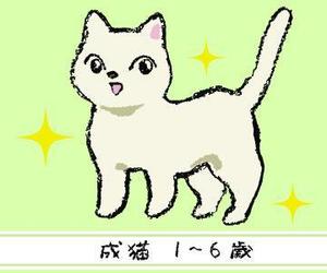 シロップ (sweetsirup0320)さんのかわいい猫のイラストへの提案