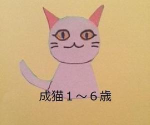よしゆき　かりん (yykarin_001)さんのかわいい猫のイラストへの提案