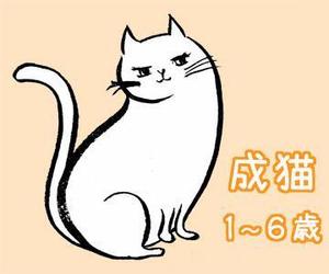 sari ()さんのかわいい猫のイラストへの提案