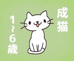 かる (karumera)さんのかわいい猫のイラストへの提案