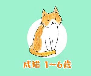 sheep design ()さんのかわいい猫のイラストへの提案