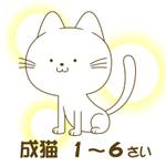 ぴ~タン (p-tan)さんのかわいい猫のイラストへの提案