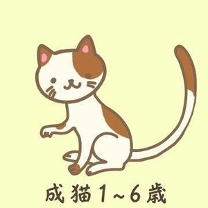 ベンガルトラ サヤカ (28_lily)さんのかわいい猫のイラストへの提案