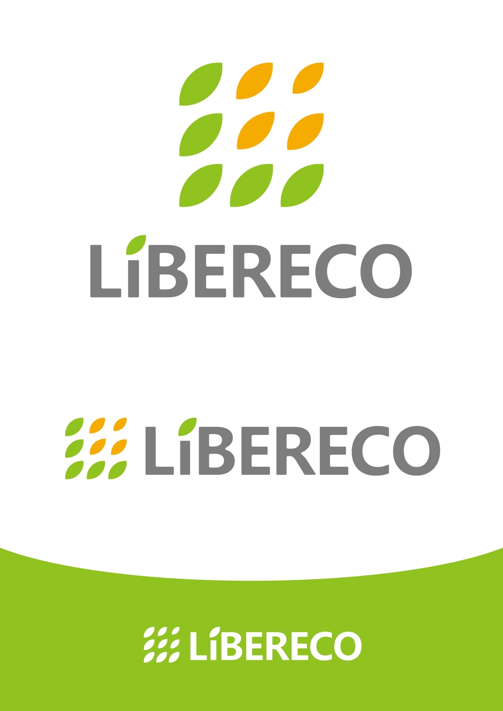 LiBERECO2.jpg