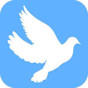 TOP55 (TOP55)さんのAndroidのTwitterクライアントのアプリアイコンの作成への提案