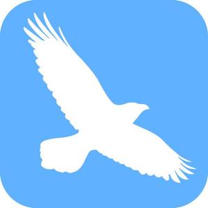 TOP55 (TOP55)さんのAndroidのTwitterクライアントのアプリアイコンの作成への提案