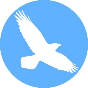 TOP55 (TOP55)さんのAndroidのTwitterクライアントのアプリアイコンの作成への提案