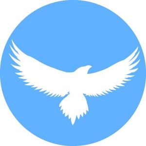 TOP55 (TOP55)さんのAndroidのTwitterクライアントのアプリアイコンの作成への提案
