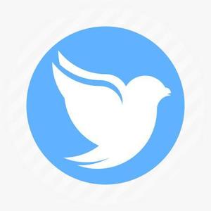 Buchi (Buchi)さんのAndroidのTwitterクライアントのアプリアイコンの作成への提案
