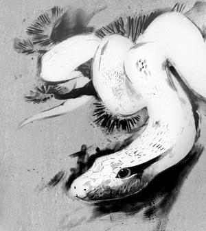 水墨画風の干支イラスト・まずは「巳」1点のみ（採用後に残11点