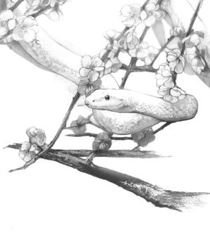 水墨画風の干支イラスト・まずは「巳」1点のみ（採用後に残11点