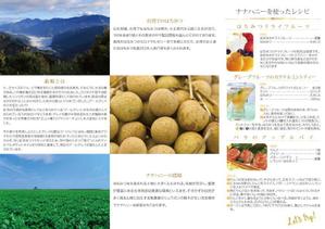 yamasaki (akn_oss601)さんの日本・台湾優秀賞獲得の高品質ハチミツの3つ折りチラシへの提案